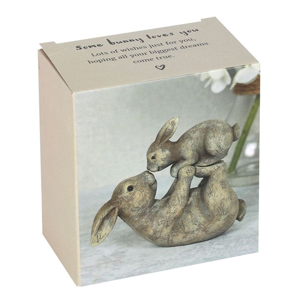 Some Bunny Loves You Ornament: 5 - Ornaments By Gift Moments
