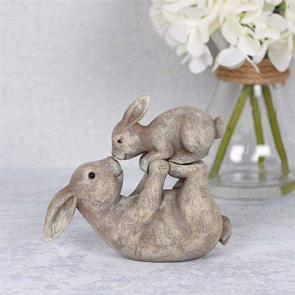 Some Bunny Loves You Ornament: 1 - Ornaments By Gift Moments