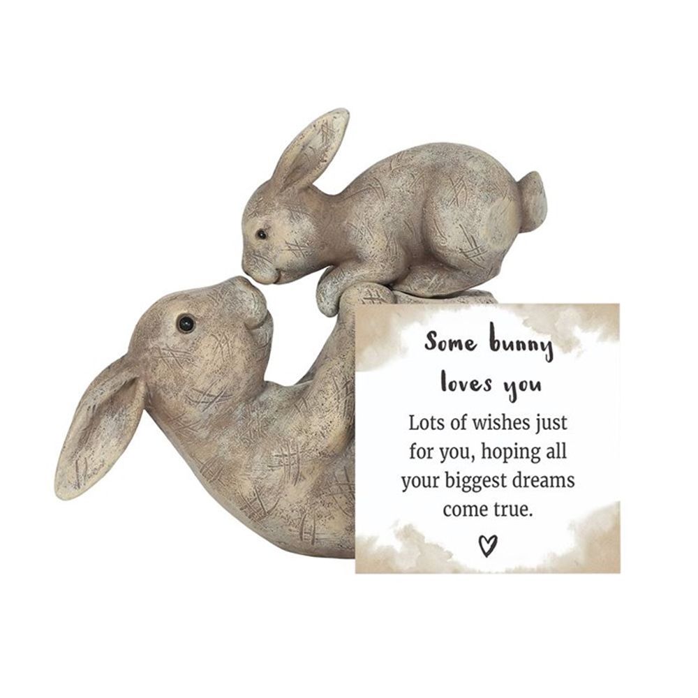 Some Bunny Loves You Ornament: 4 - Ornaments By Gift Moments