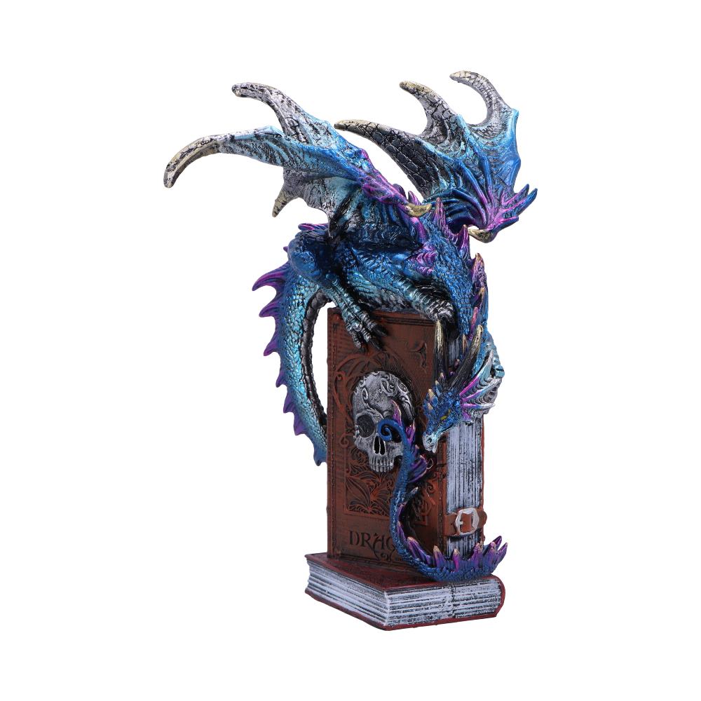 A Tale of Dragons Skull Book Figurine 22cm - Shop Figures & Collectables At Gift Moments - 3