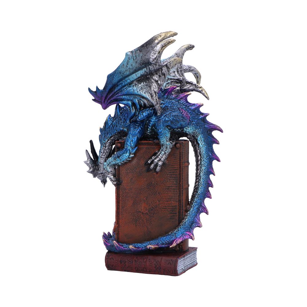 A Tale of Dragons Skull Book Figurine 22cm - Shop Figures & Collectables At Gift Moments - 4