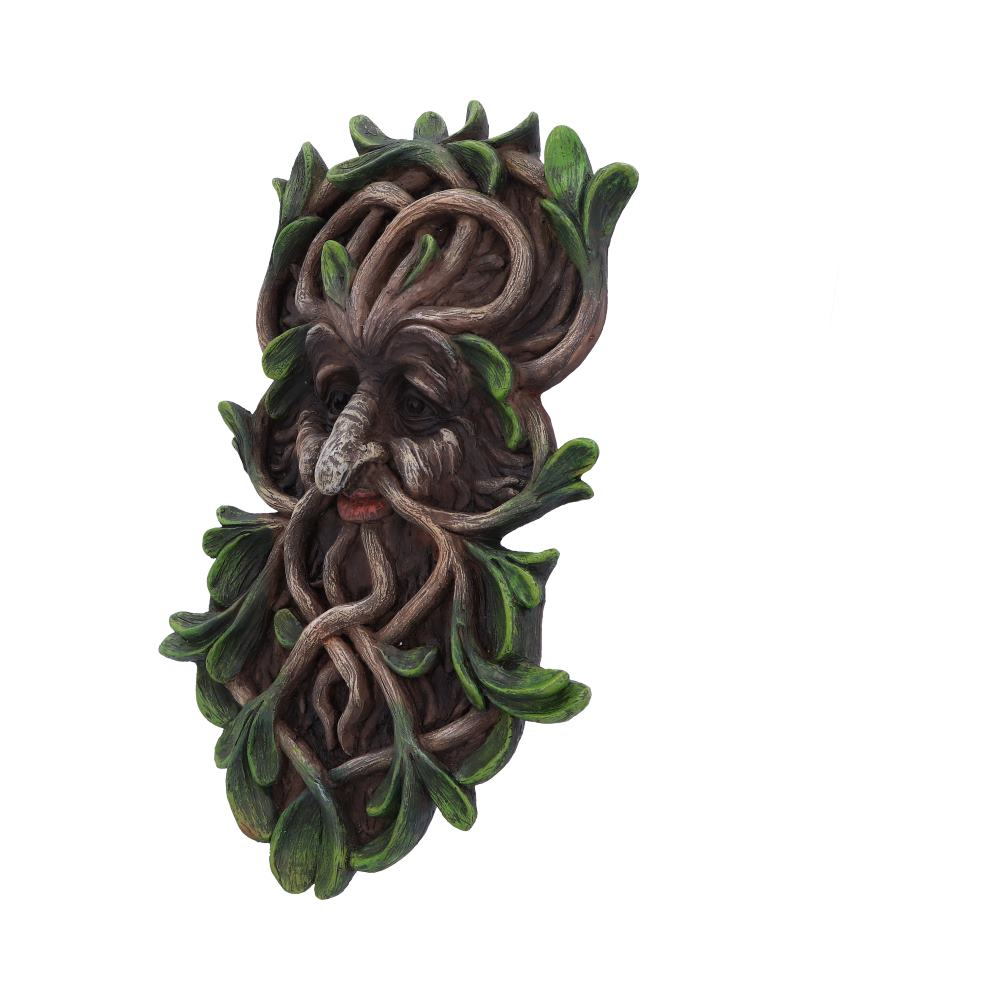 Tawnya Wall Mounted Tree Spirit 28.8cm: 3 - Wall Hanging Sculptures By Gift Moments