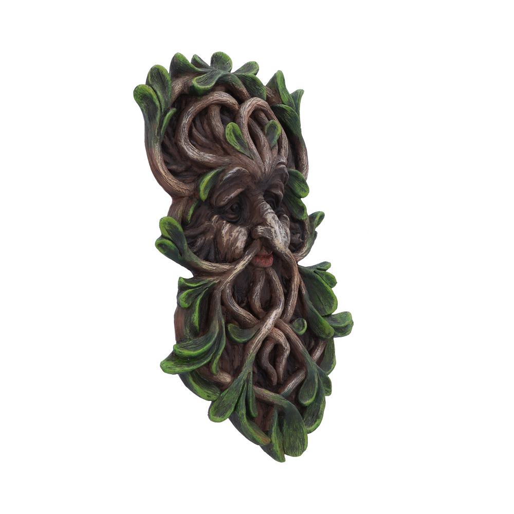 Tawnya Wall Mounted Tree Spirit 28.8cm: 5 - Wall Hanging Sculptures By Gift Moments