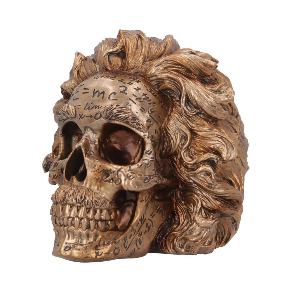 The Theory of Relativity Bronze Einstein Skull 21cm: 4 - Figures & Collectables By NN Designs