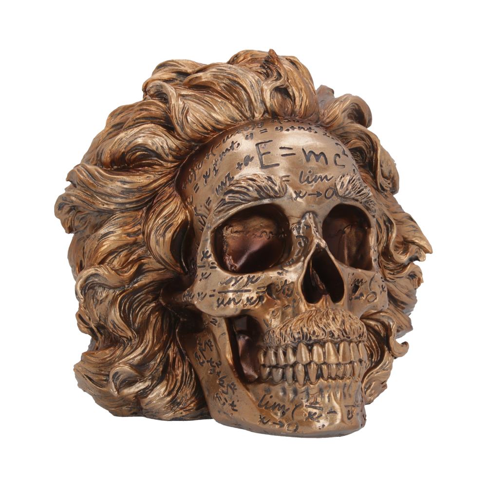 The Theory of Relativity Bronze Einstein Skull 21cm: 2 - Figures & Collectables By NN Designs
