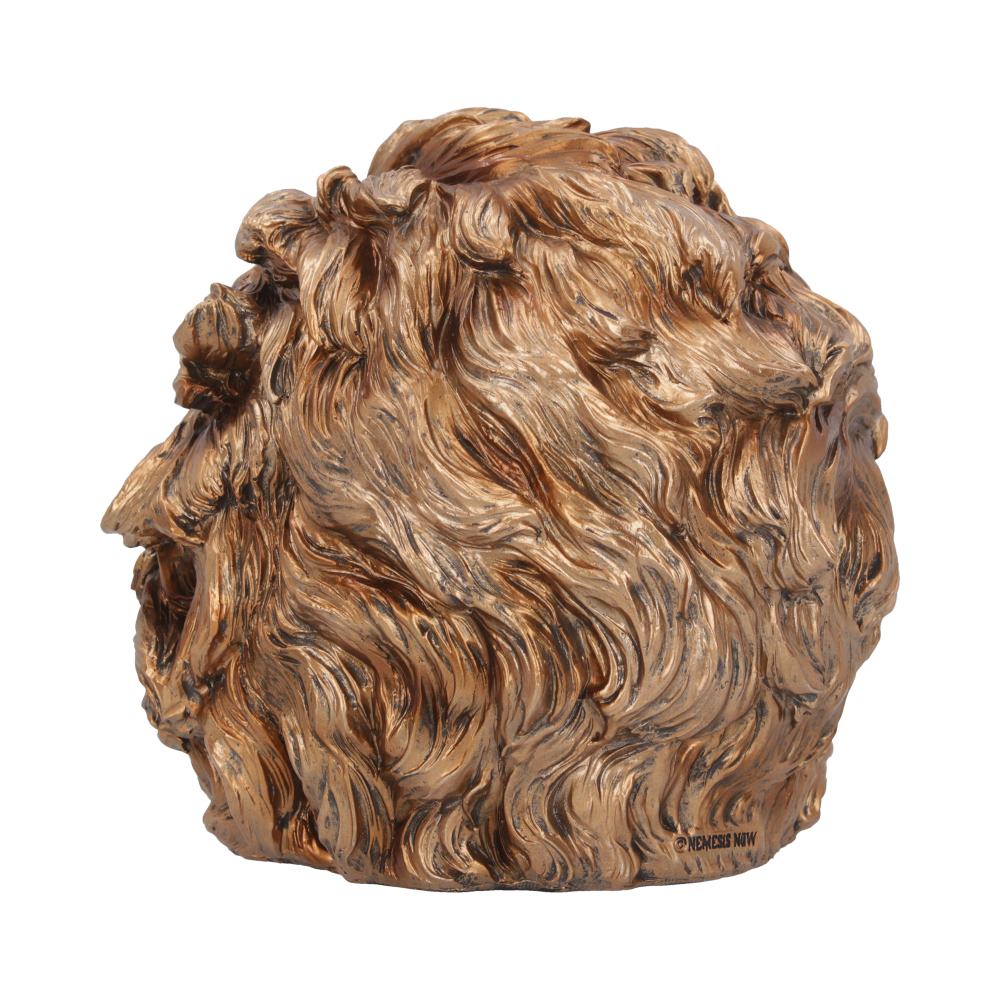 The Theory of Relativity Bronze Einstein Skull 21cm: 5 - Figures & Collectables By NN Designs