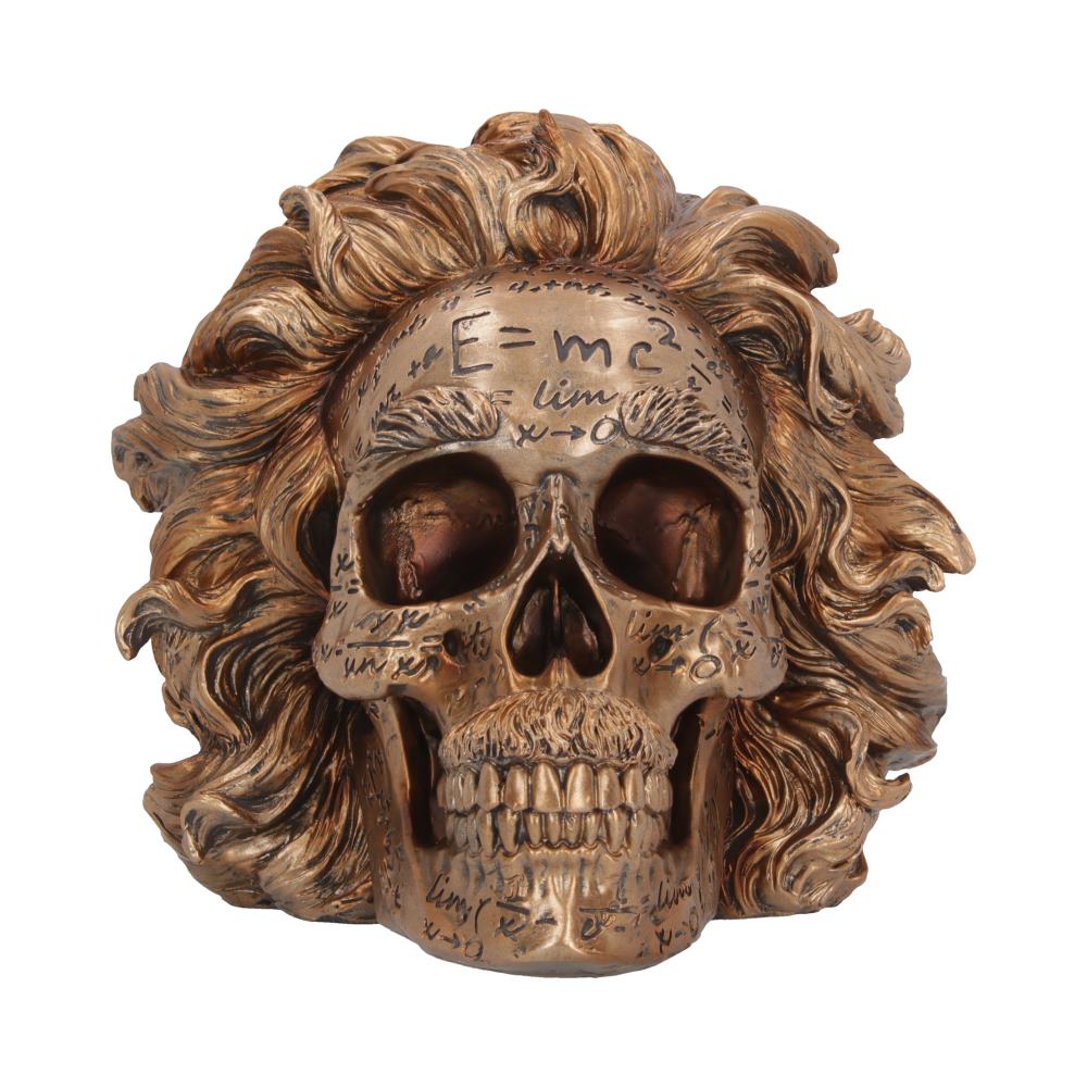 The Theory of Relativity Bronze Einstein Skull 21cm: 3 - Figures & Collectables By NN Designs