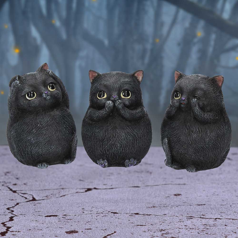 Three Wise Fat Cat Figurines 8.5cm - 3 Wise Cute Cats: 1 - Figurines Small (Under 15cm) By NN Designs