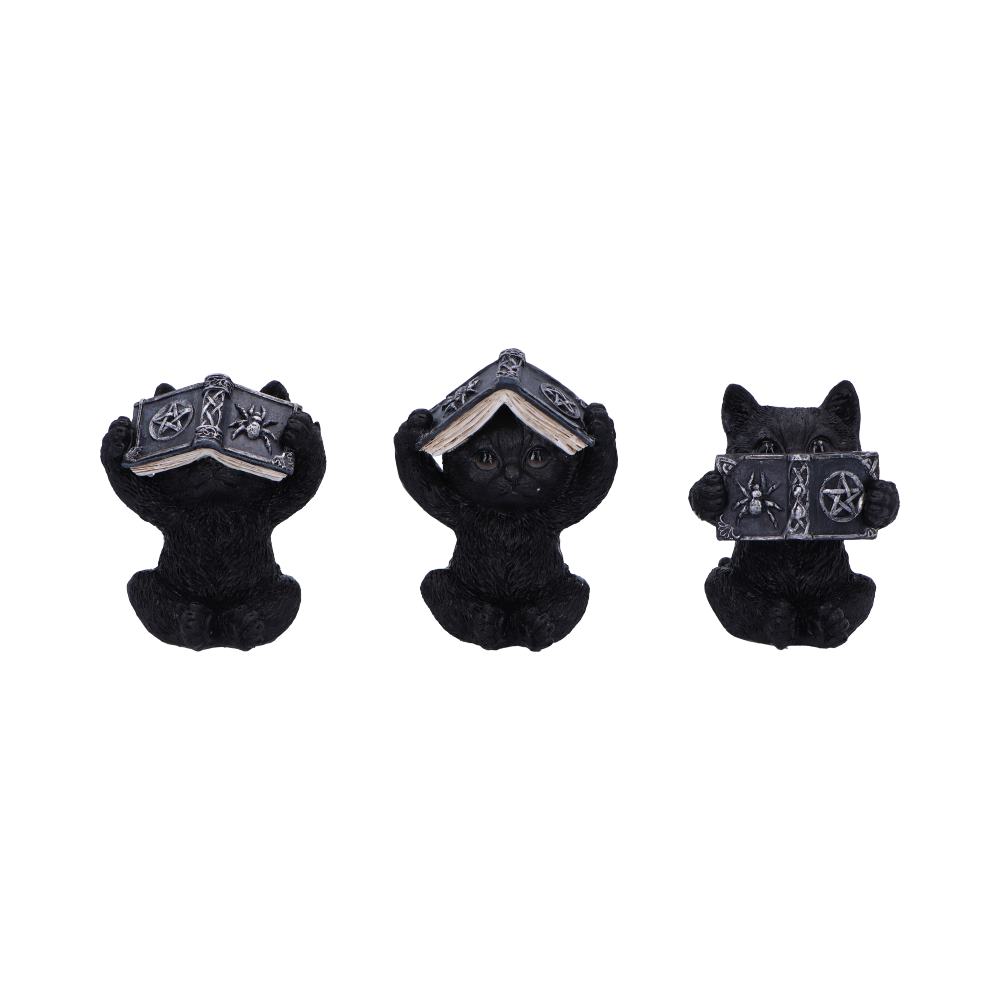 Three Wise Witchy Black Spell Cats 8.5cm: 2 - Figures & Collectables By Gift Moments