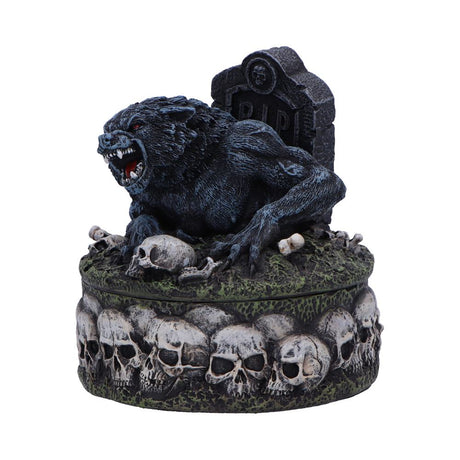 Treasures of the Lycan Dark Werewolf Figurine 12cm: 3 - Boxes By Gift Moments