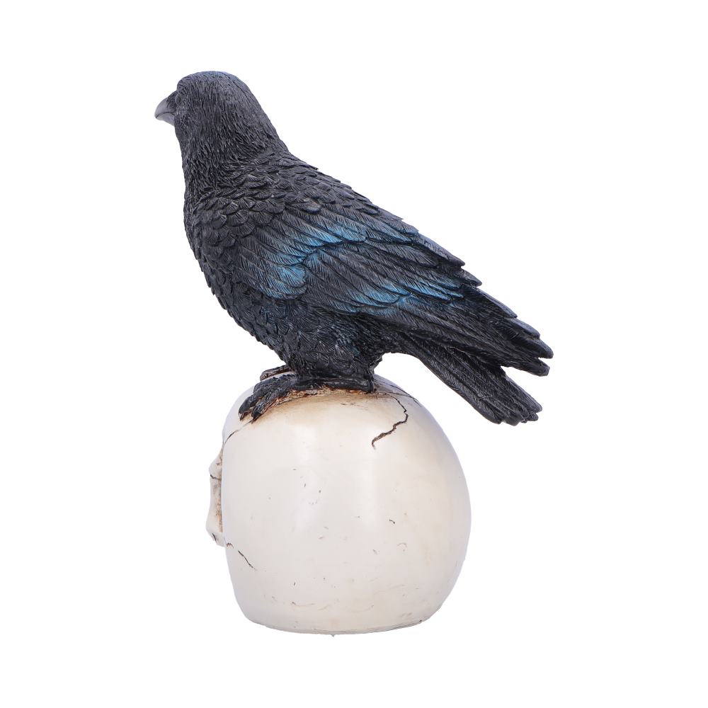 Raven Standing on Skull Figurine 19.5cm - Shop Figurines Medium (15-29cm) At Gift Moments - 4