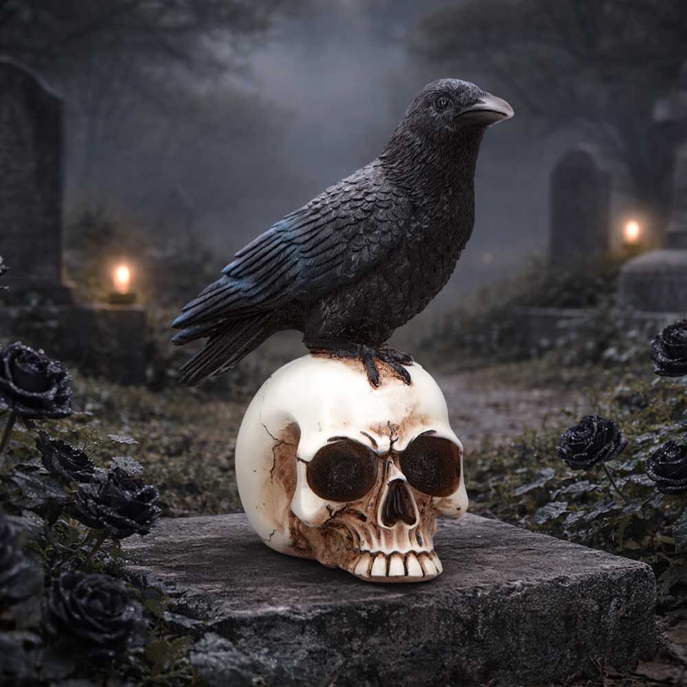 Raven Standing on Skull Figurine 19.5cm - Shop Figurines Medium (15-29cm) At Gift Moments - 1