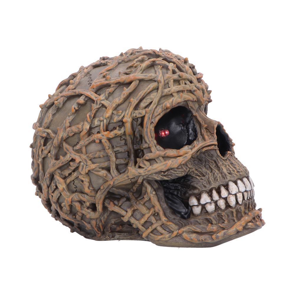 Rooted Vine Skull LED Figurine 15.8cm - Shop Figurines Medium (15-29cm) At Gift Moments - 4