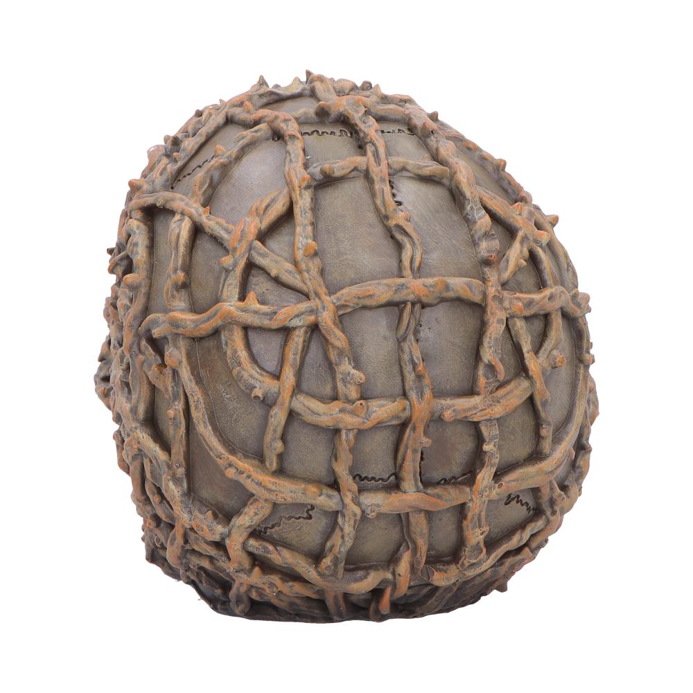 Rooted Vine Skull LED Figurine 15.8cm - Shop Figurines Medium (15-29cm) At Gift Moments - 5