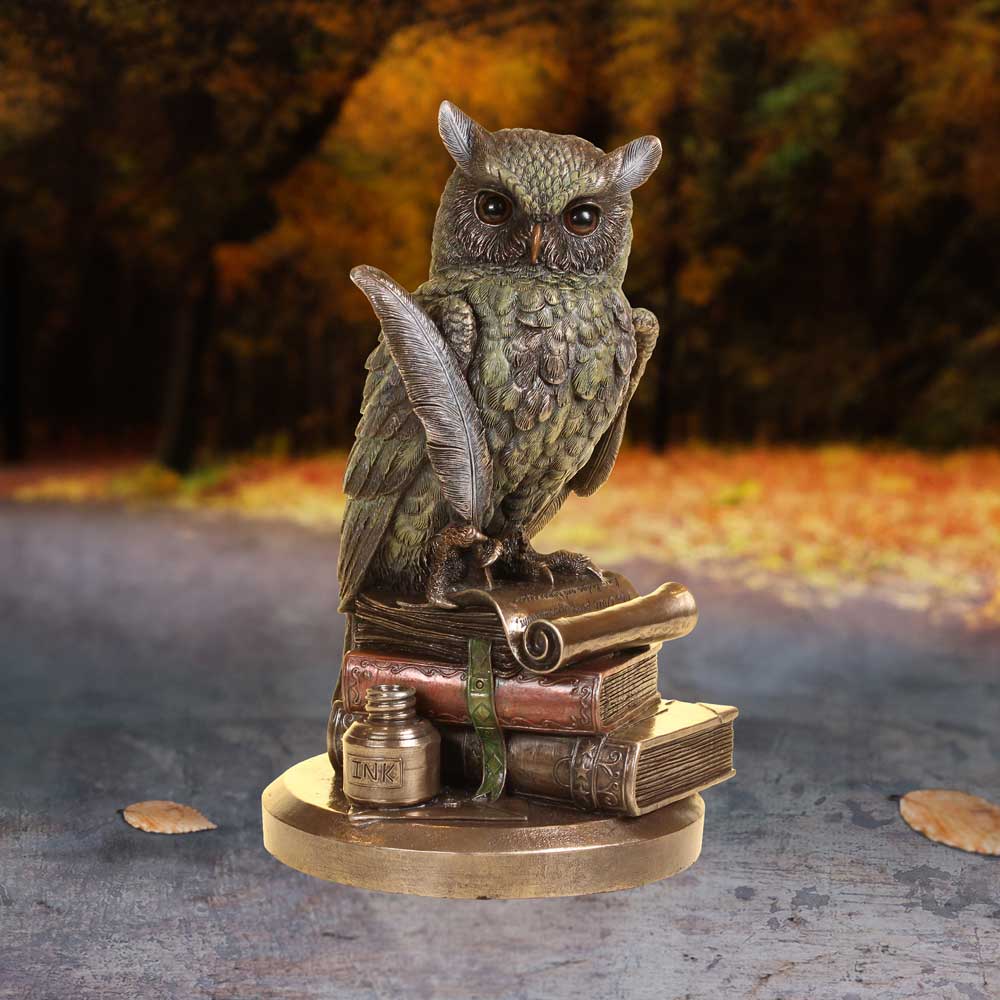 Ulula Bronze Academic Owl Figurine - Shop Figurines Medium (15-29cm) At Gift Moments - 1