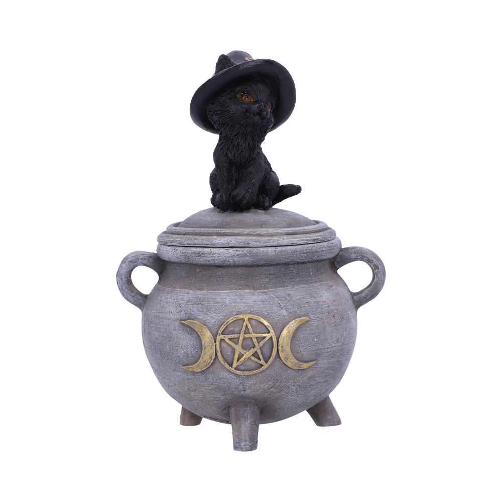 Witch Cat Cauldron Box 14cm: 2 - Boxes By Gift Moments