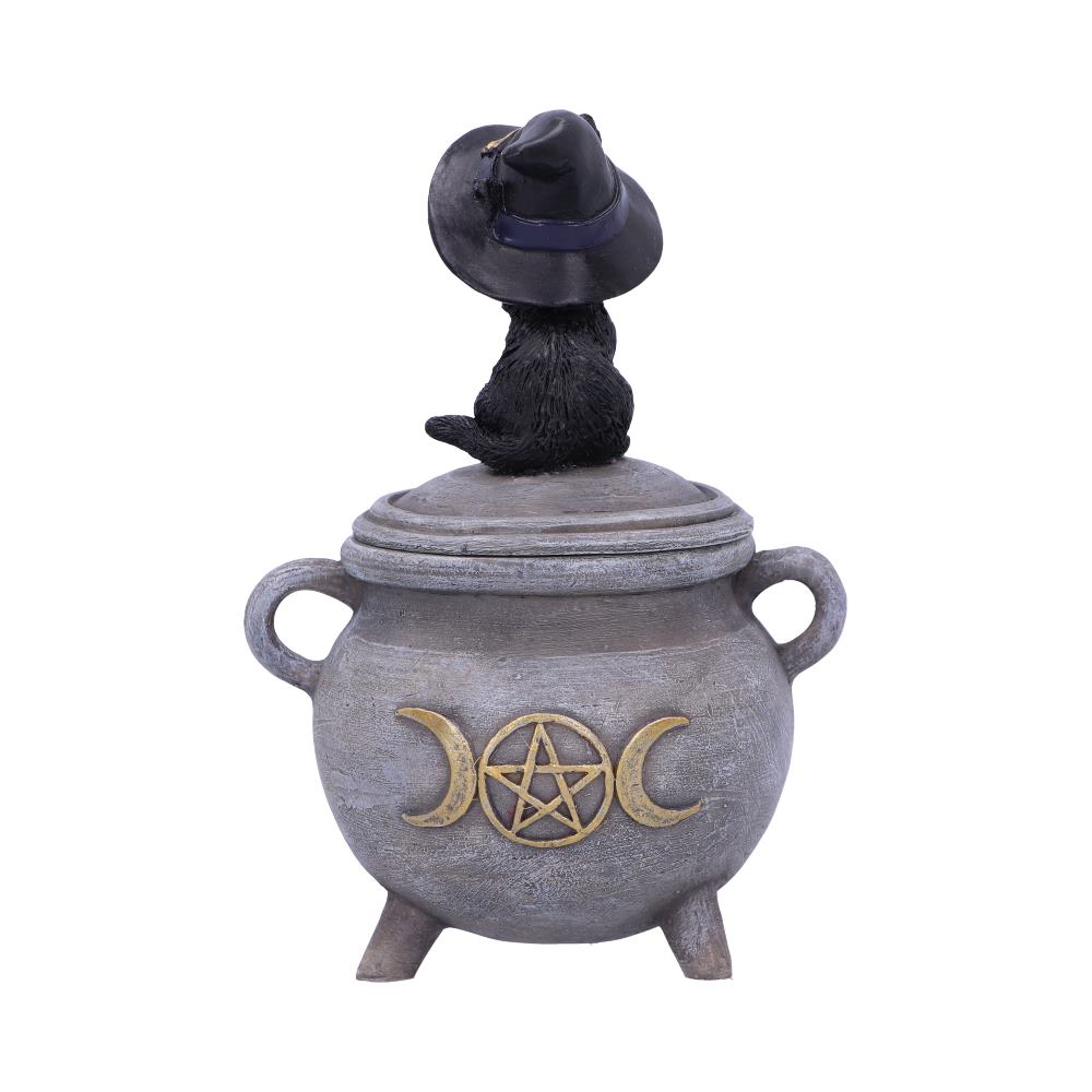 Witch Cat Cauldron Box 14cm: 4 - Boxes By Gift Moments