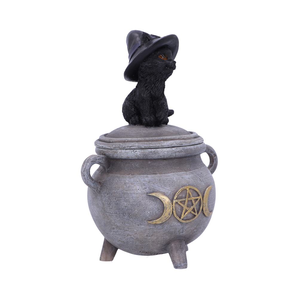 Witch Cat Cauldron Box 14cm: 5 - Boxes By Gift Moments