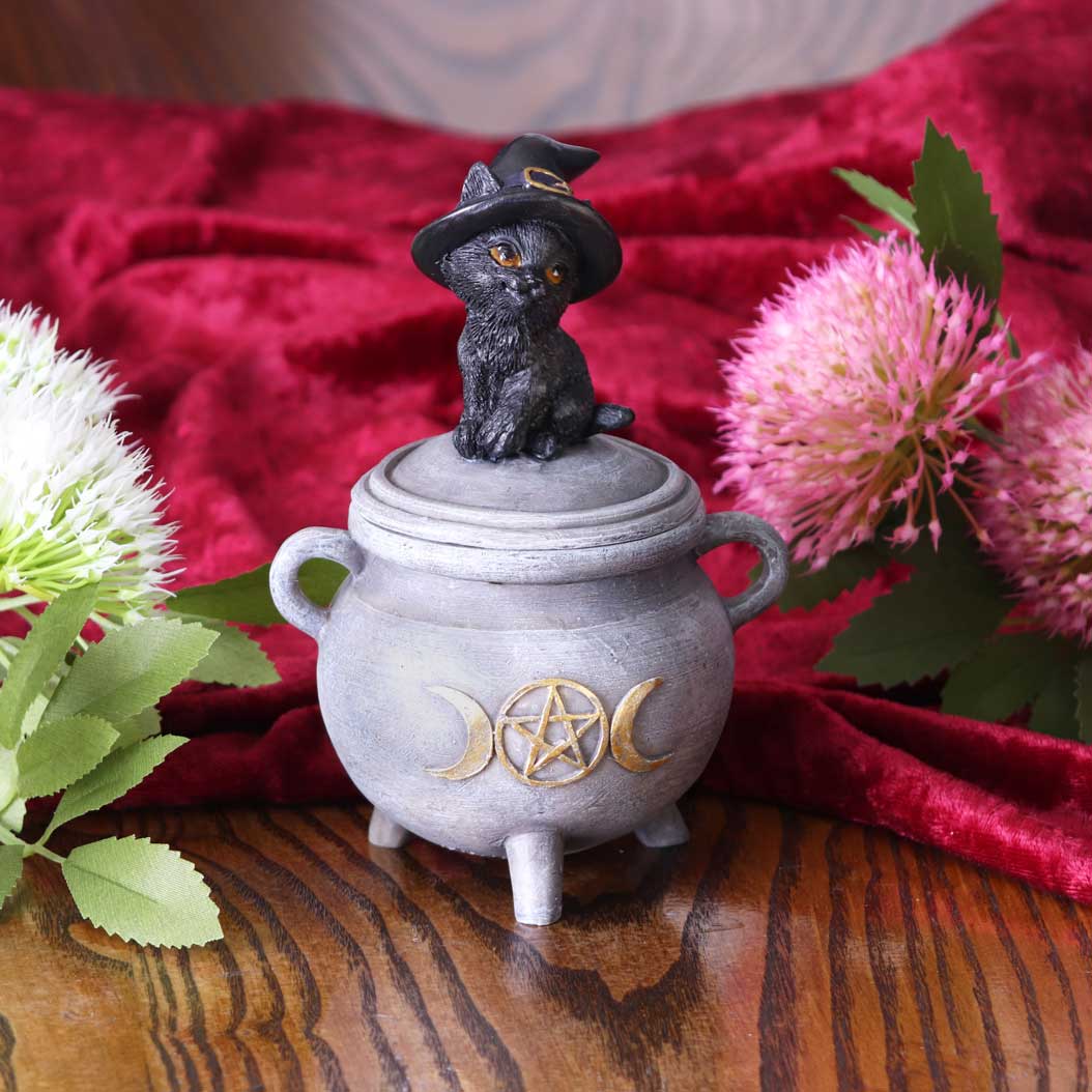 Witch Cat Cauldron Box 14cm: 1 - Boxes By Gift Moments