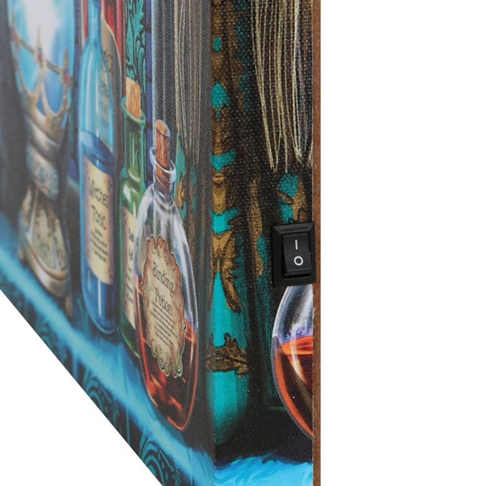 The Witches Apprentice Light Up Canvas Plaque by Lisa Parker: 4 - Wall Art By Gift Moments