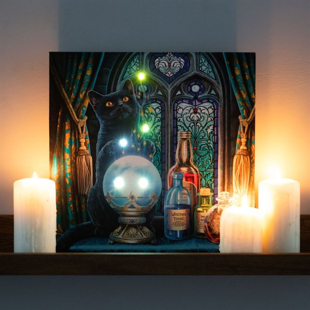 The Witches Apprentice Light Up Canvas Plaque by Lisa Parker: 1 - Wall Art By Gift Moments