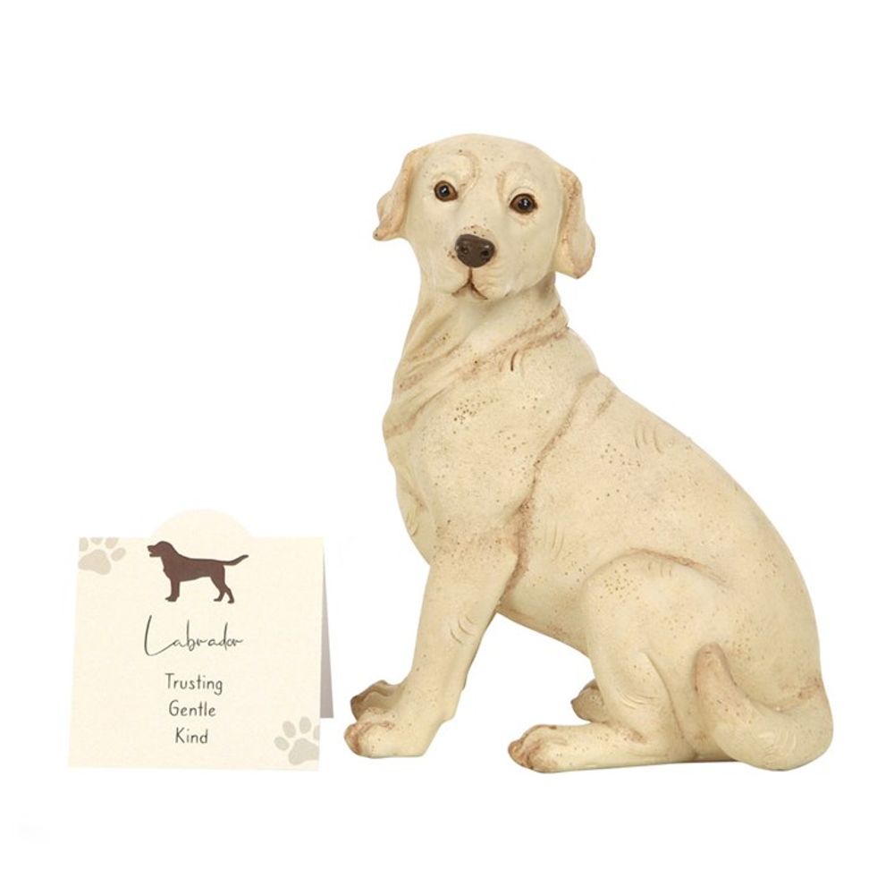 Yellow Labrador Dog Ornament: 2 - Ornaments By Gift Moments