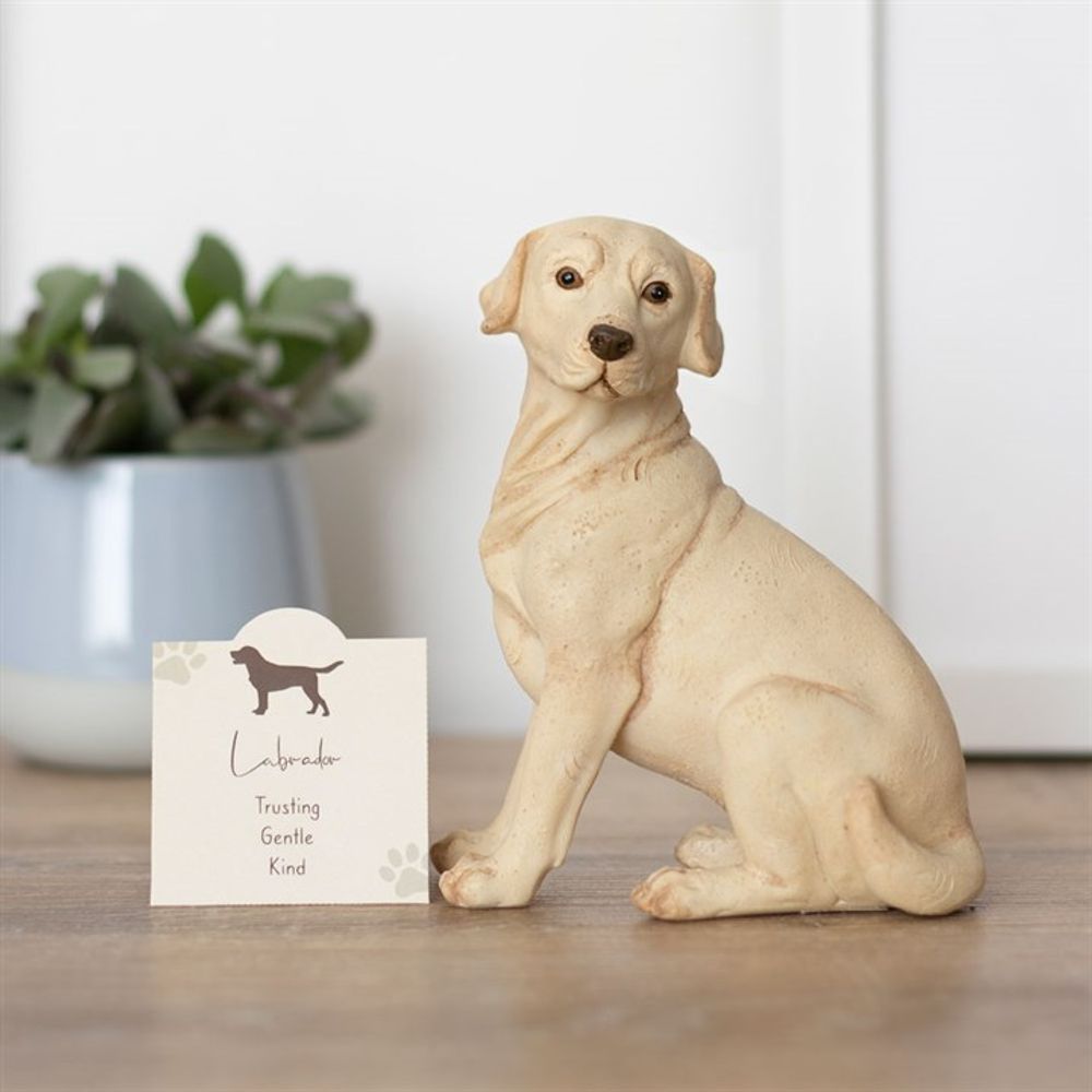 Yellow Labrador Dog Ornament: 1 - Ornaments By Gift Moments