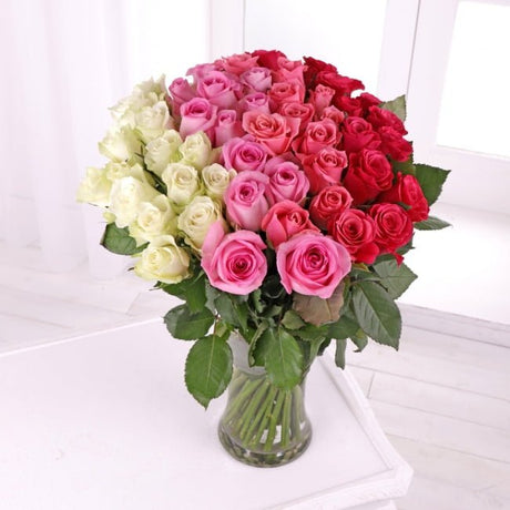 50 Ombre Roses - Gift Moments
