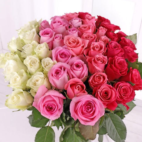 50 Ombre Roses - Gift Moments