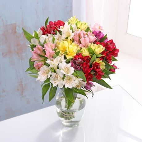Alstroemeria Bouquet - Gift Moments
