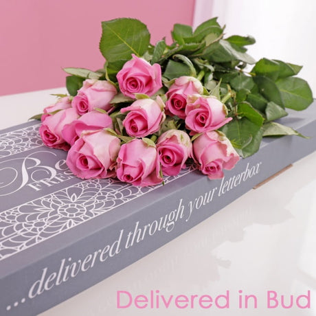 Letterbox Pink Roses - Gift Moments