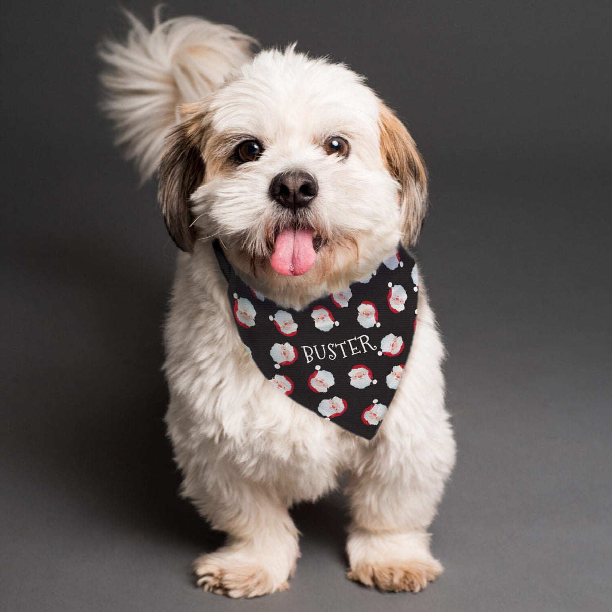 Personalised Santa Black Dog Bandana - Shop Pet Products At Gift Moments - 2