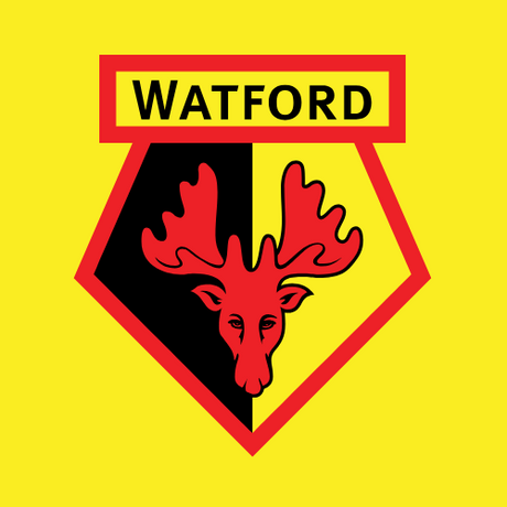 Official Watford FC Gifts | Hornets Fan Merchandise | Shop now At Gift Moments