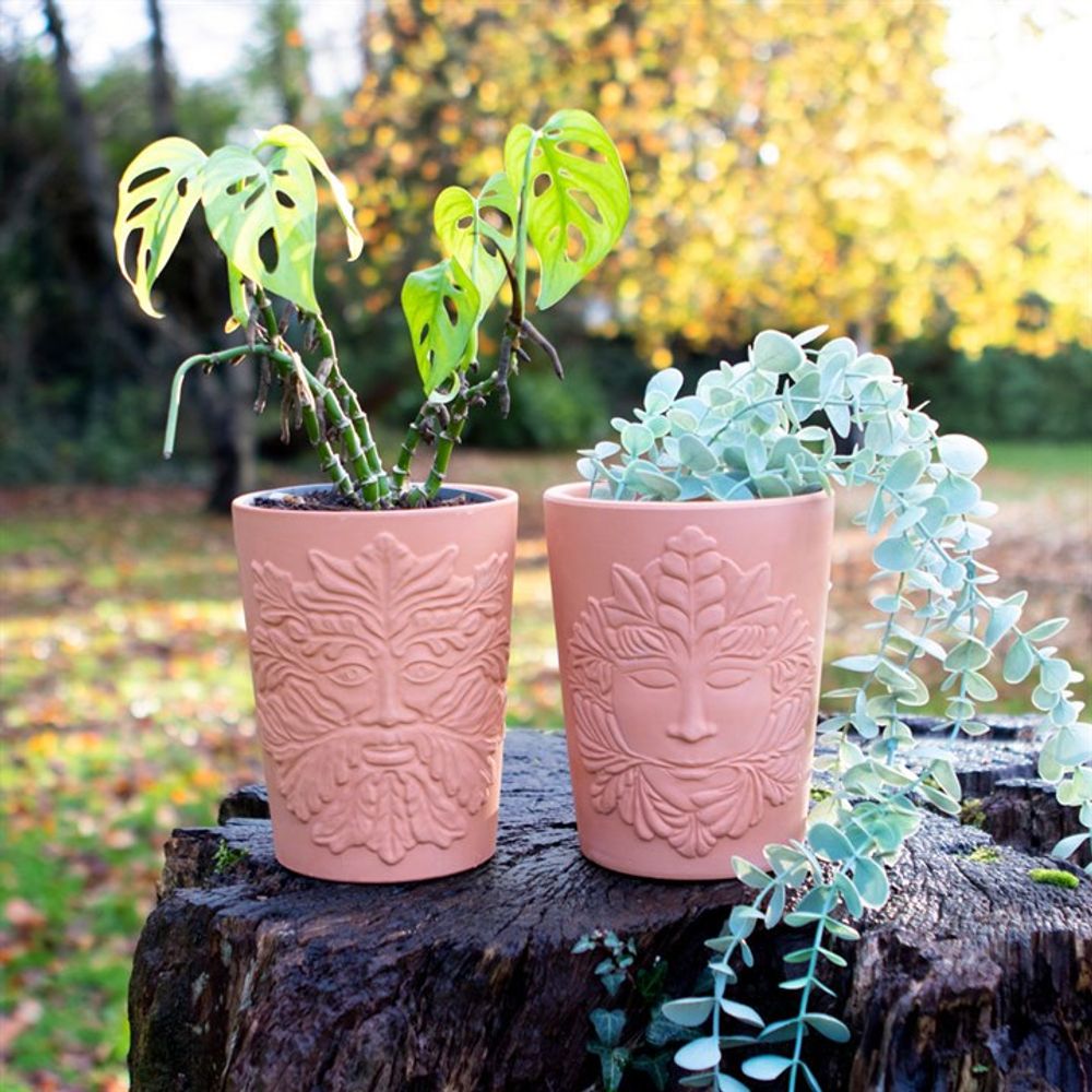 16cm Green Goddess Terracotta Plant Pot: 3 - Pots & Planters By Gift Moments
