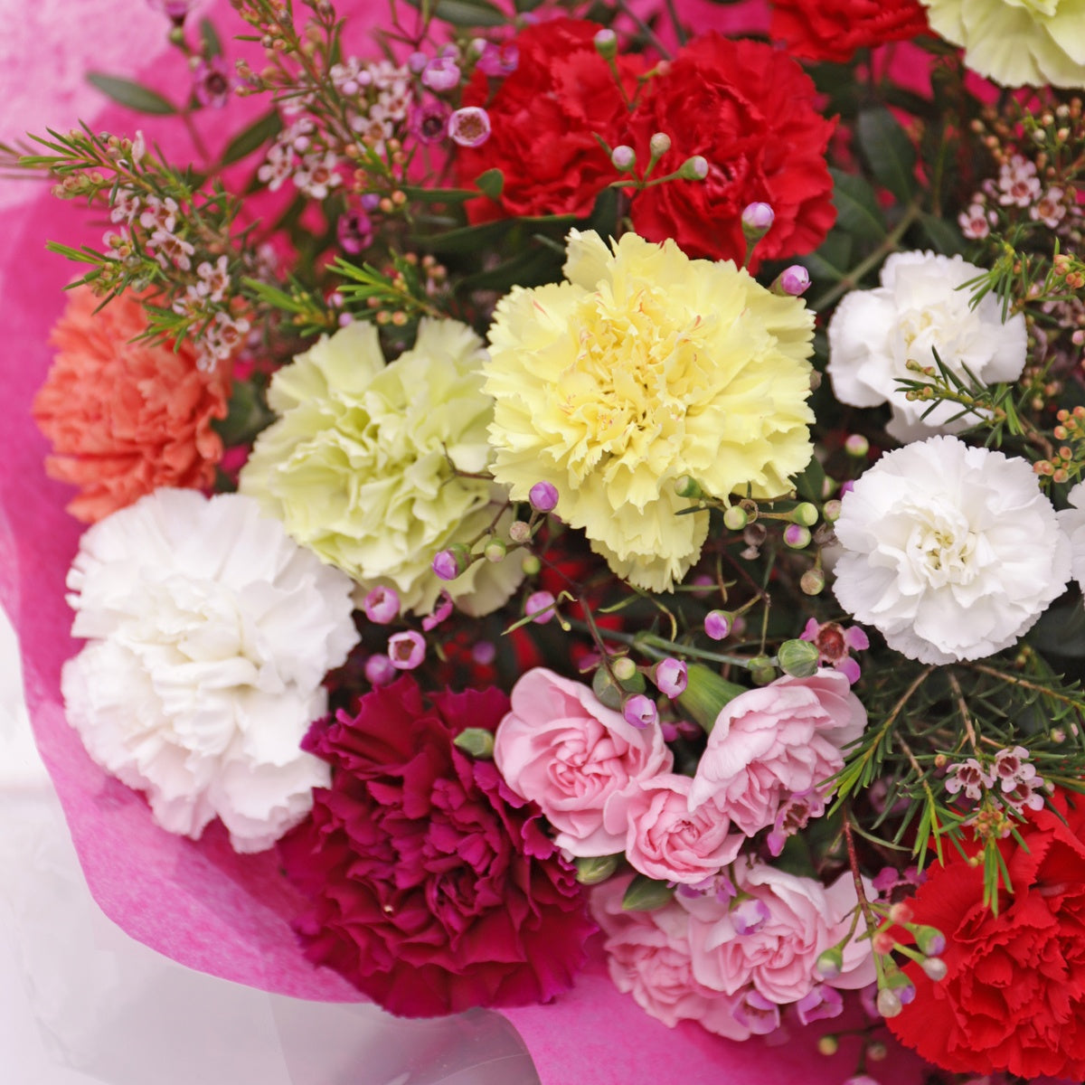 Colourful Carnation Bouquet