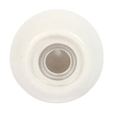 Clam Shell Salt and Pepper Shakers