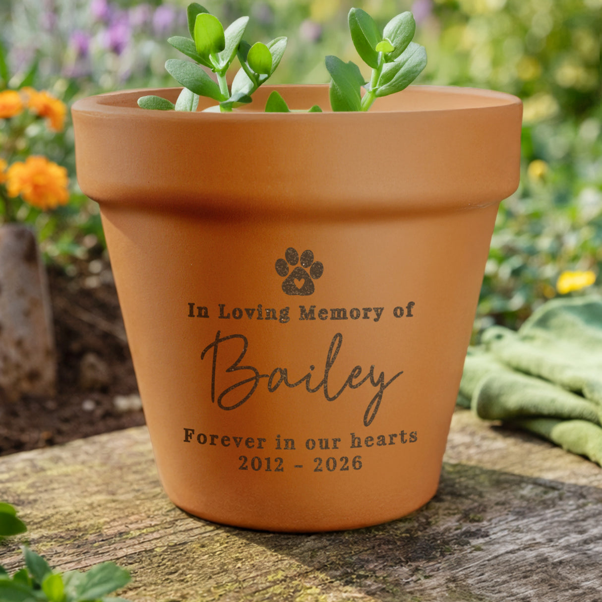 Personalised Pet Memorial Terracotta Plant Pot - Shop Pots & Planters At Gift Moments - 1
