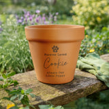 Personalised Pet Memorial Terracotta Plant Pot - Shop Pots & Planters At Gift Moments - 2
