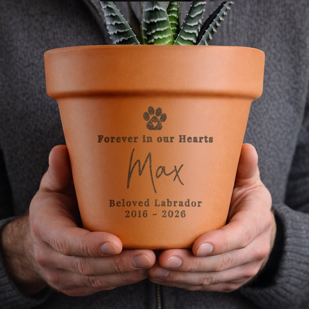 Personalised Pet Memorial Terracotta Plant Pot - Shop Pots & Planters At Gift Moments - 3