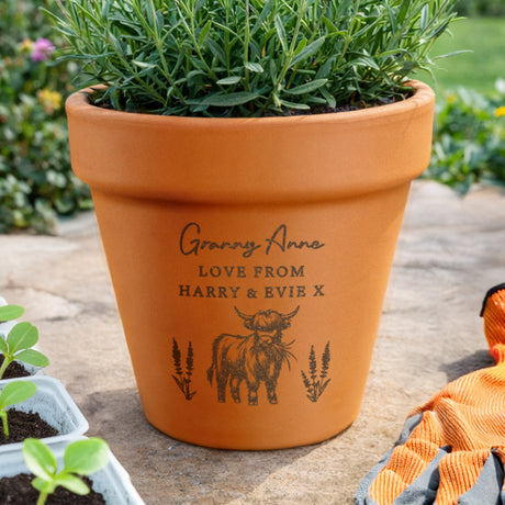 Personalised Highland Cow Terracotta Plant Pot - Shop Pots & Planters At Gift Moments - 4