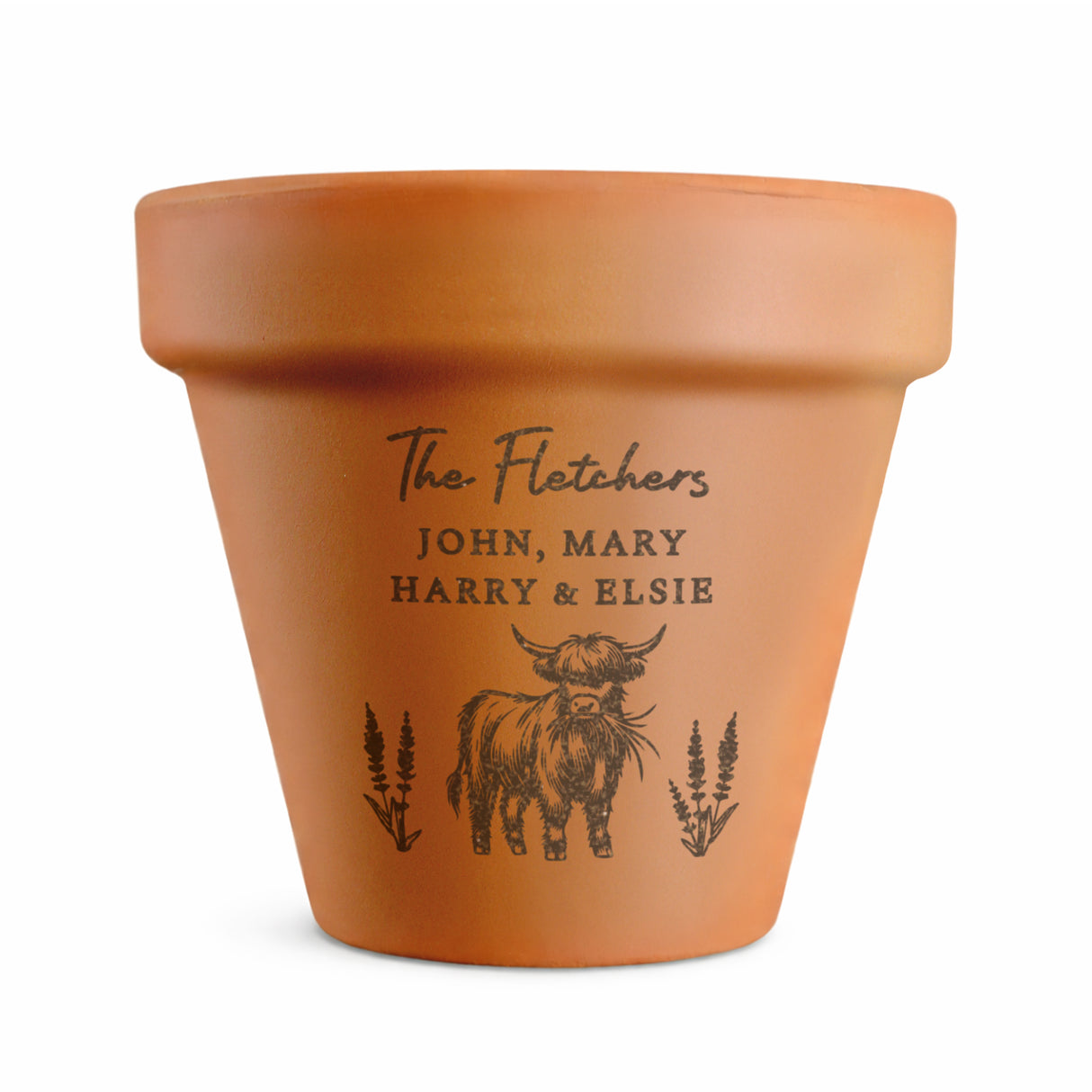 Personalised Highland Cow Terracotta Plant Pot - Shop Pots & Planters At Gift Moments - 5