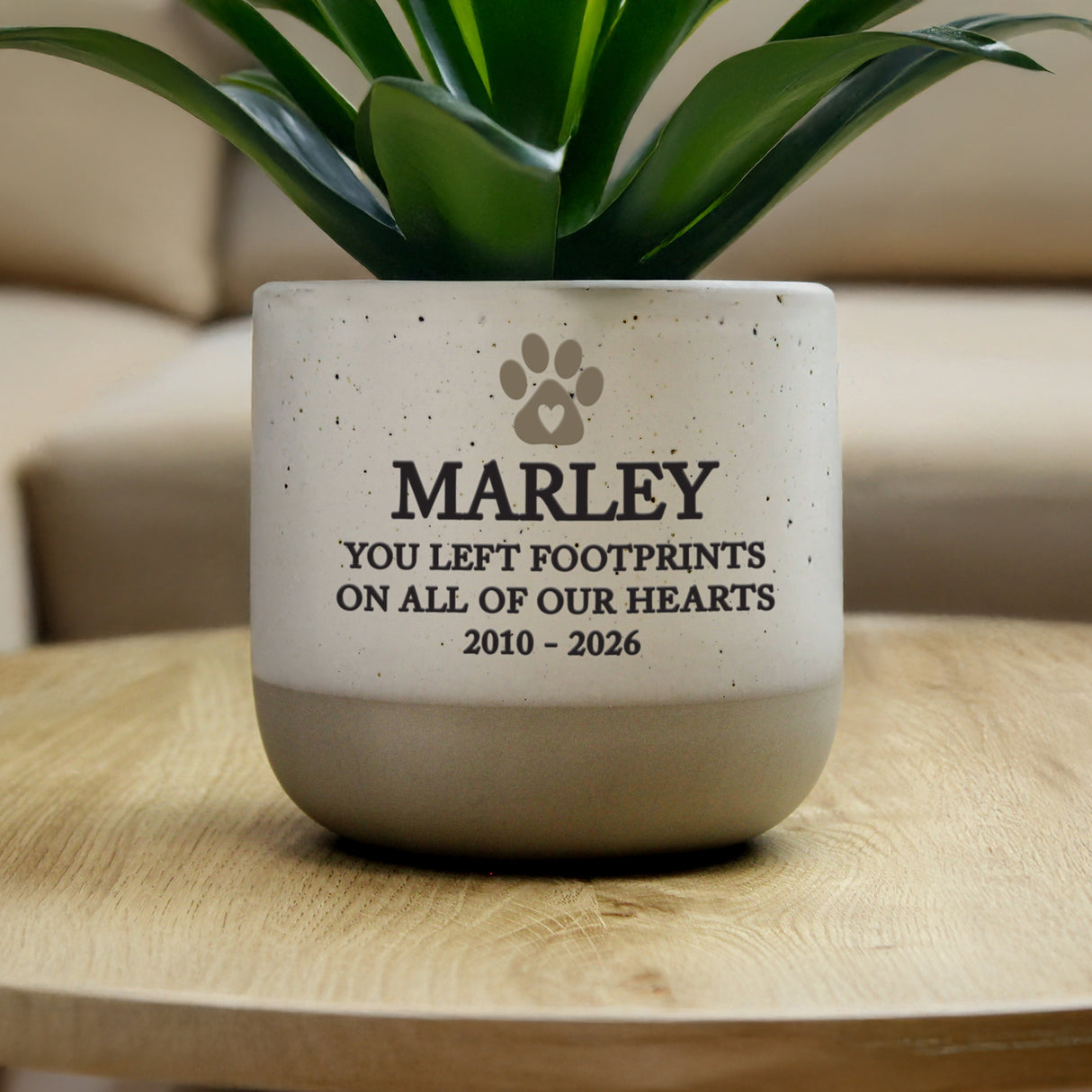 Personalised Pet Memorial Flecked Plant Pot - Shop At Gift Moments - 2