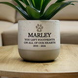 Personalised Pet Memorial Flecked Plant Pot - Shop At Gift Moments - 2