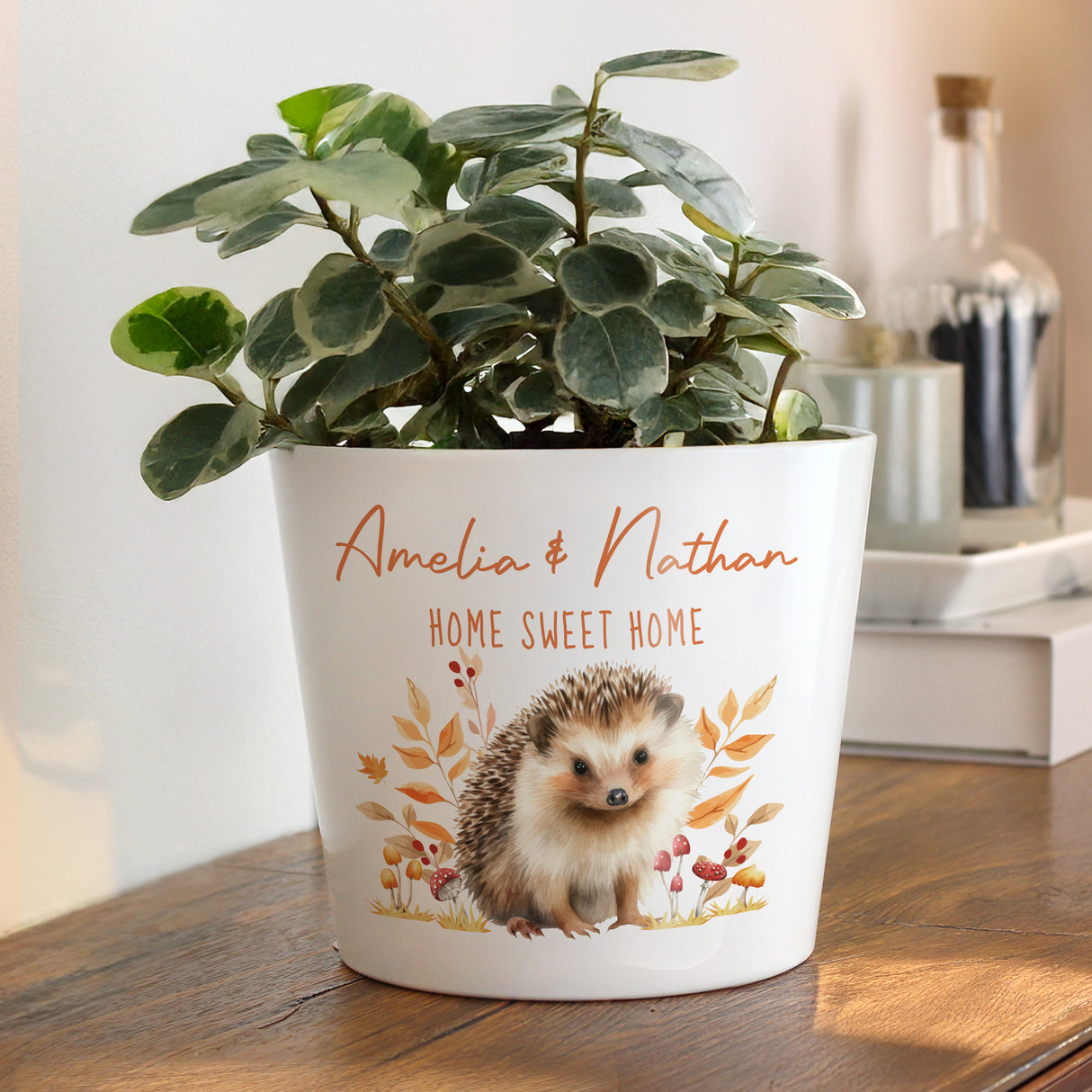 Personalised Hedgehog Large Plant Pot - Shop At Gift Moments - 1