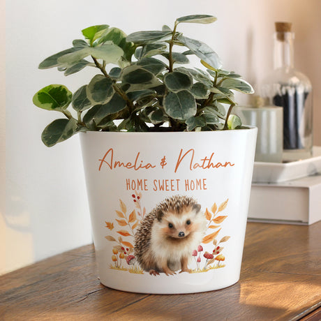 Personalised Hedgehog Large Plant Pot - Shop At Gift Moments - 1