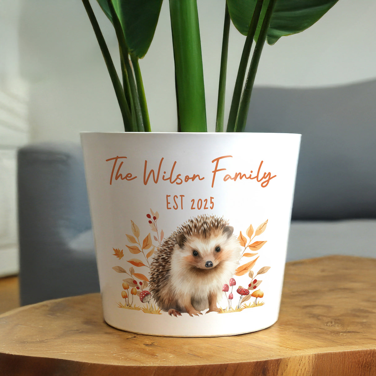 Personalised Hedgehog Large Plant Pot - Shop At Gift Moments - 3