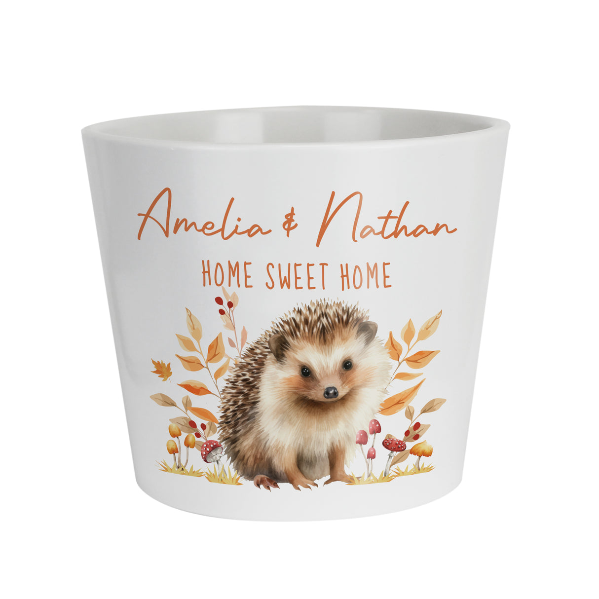 Personalised Hedgehog Large Plant Pot - Shop At Gift Moments - 5