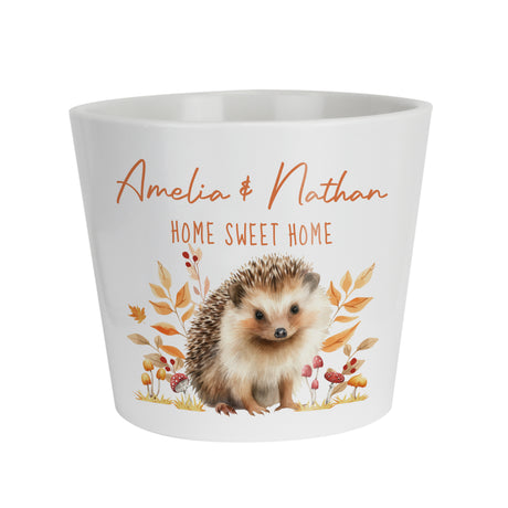 Personalised Hedgehog Large Plant Pot - Shop At Gift Moments - 5