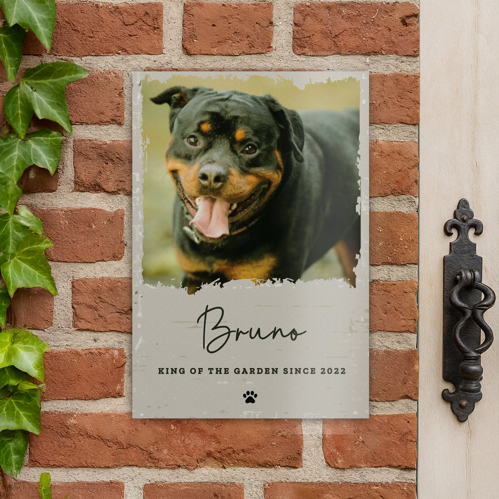 Personalised Photo Upload Pet Aluminium Sign - Shop Signs & Plaques At Gift Moments - 2