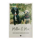 Personalised Photo Upload Pet Aluminium Sign - Shop Signs & Plaques At Gift Moments - 4